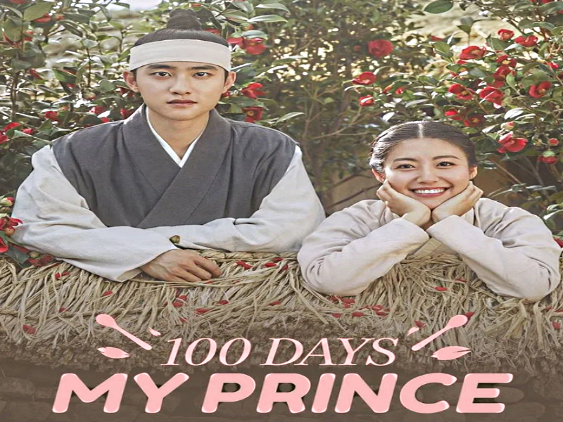 100 Days My Prince